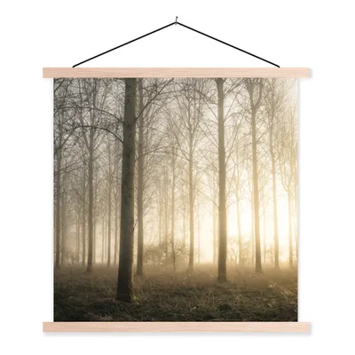 Produktbild von MuchoWow® Textilposter Wald - Sonne - Nebel 40x40 cm mit holzfarbenen Rahmen - Posterleiste