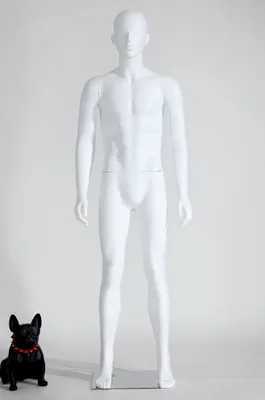 Produktbild von Eurotondisplay LM1-6 Männlich Mann Maskulin schöne abstrakte Weiß Schaufensterpuppen Matt Nase und Mund geformt Metallplatte male mannequin white