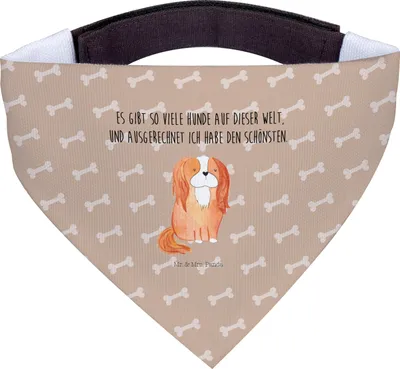 Produktbild von Mr. & Mrs. Panda Tuch Hund Cavalier King Charles Spaniel - Hundeglück - Geschenk, Halstuch Für Hunde, Bandana, Sprüche, Spruch, Cockerspaniel, Bester