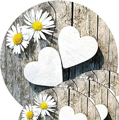 Produktbild von Tischsets 4er als abwaschbare Frühling und Sommer Tischdeko - Platzsets Blumen als runde Tischuntersetzer in 38 cm - Platzdeckchen als Tischunterlage für Esstisch Wohnzimmer Tisch
