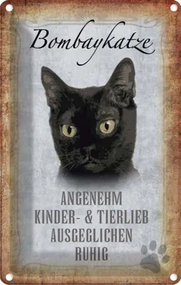 Produktbild von vianmo Blechschild 18x12 cm Bombaykatze Katze