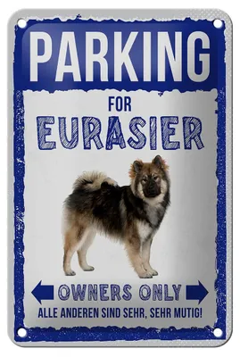 Produktbild von Blechschild Spruch 12x18cm parking for Eurasier Hund