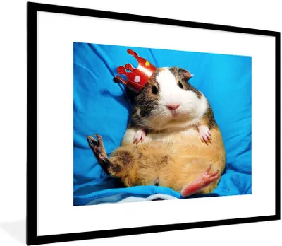 Produktbild von MuchoWow® Gerahmtes Poster Meerschweinchen - Lustig - Krone - Kinder - Jungen - Mädchen - Kind 80x60 cm - Poster mit Schwarzem Bilderrahmen Wandposter Rahmen Foto Bilder - Schlafzimmer-Dekorationen - Fotoposter