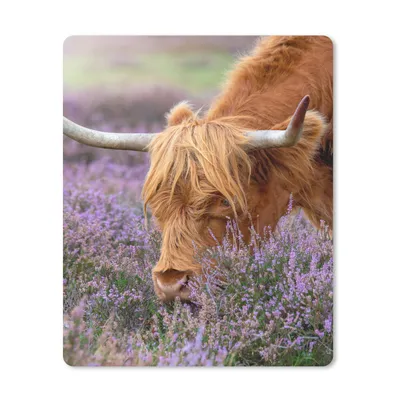 Produktbild von MuchoWow® Mauspad Mousepad Schottischer Highlander - Tiere - Heide 30x40 cm - Mousepads - Maus Mat - Pad - Mausunterlage - Mausmatten