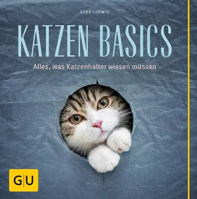 Image de Katzen-Basics