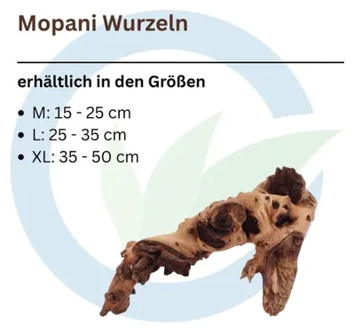 Produktbild von Mopani Wurzel M 15-25 cm