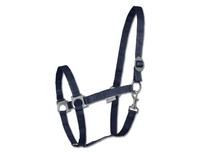 Produktbild von Waldhausen Perlon Halfter Blau Cob Blau Cob