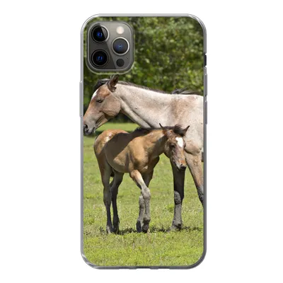 Produktbild von MuchoWow® Handyhülle Schutzhülle Hülle für iPhone 12 Pro Max Pferde - Gras - Schatten Silikon Softcase Handy Hülle - Hartschale