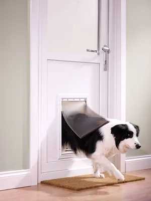 A black and white dog is walking through a pet door installed in a white door.