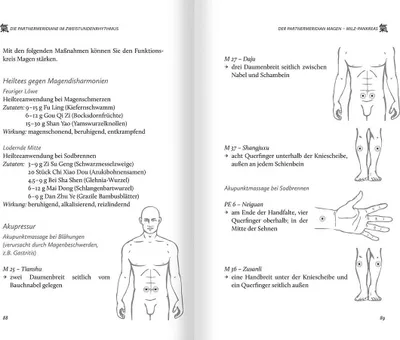Obrázok produktu pre Die Organuhr. Leben im Rhythmus der Traditionellen Chinesischen Medizin (TCM)