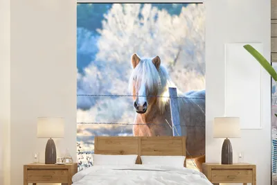 Produktbild von MuchoWow® Fototapete für Wohnzimmer oder Schlafzimmer Wandtapete Vinyl Motivtapete Pferd - Winter - Schnee - 200x300 cm - Wanddekorationen