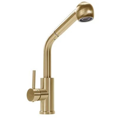 Obrázek produktu pro Kuchyňská baterie Rea TROY Brushed Gold