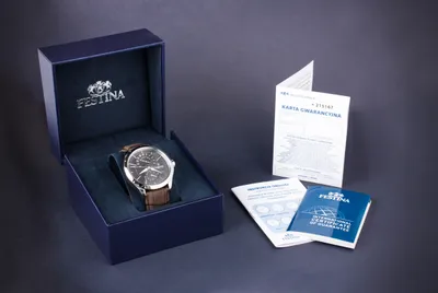 Image de Montre Festina 203302