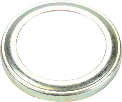 Immagine prodotto di Copertura cuscinetto ruota (anello in lamiera) 5950593