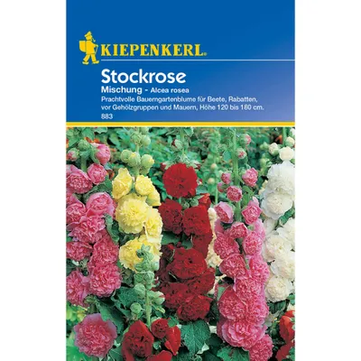 Produktbild von Kiepenkerl Stockrosensamen Mischung