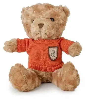 Immagine prodotto di Orsacchiotto peloso da 22 cm con maglione arancione - Daffi