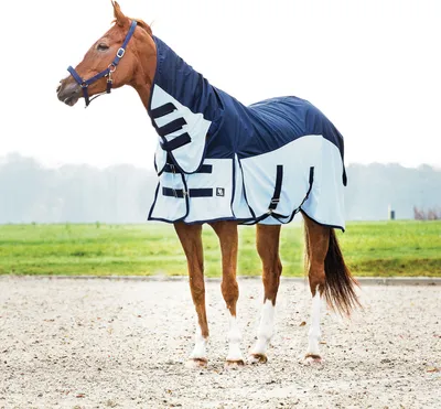 Produktbild von Horse Guard Regen- und Insektendecke Aiman für Pferde - blau - 165 cm