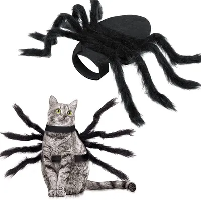 Productafbeelding van Halloweenkostuum voor katten en kleine honden - spinnenkostuum - zwart - maat M - verstelbaar