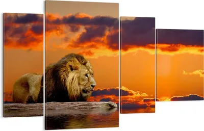Produktbild von Bild auf Leinwand - Leinwandbild - Löwe Sonne Landschaft - 120x70cm - Wand Bild - Wanddeko - Leinwanddruck - Bilder - Kunstdruck - Wanddekoration - Leinwand bilder - Wandkunst - DL120x70-0230