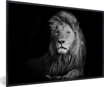 Produktbild von MuchoWow® Gerahmtes Poster Wildlife - Löwe - Schwarz - Weiß 90x60 cm - Poster mit Schwarzem Bilderrahmen Wandposter Rahmen Foto Bilder - Fotorahmen - Foto-Plakat