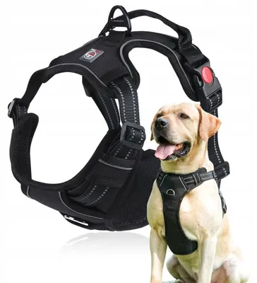 Produktbild von Lalazoo Elite Antizug Hundegeschirr XL Schwarz