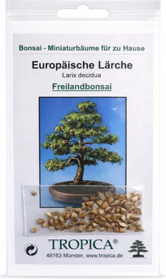 Produktbild von Tropica Bonsai: Europäische Lärche
