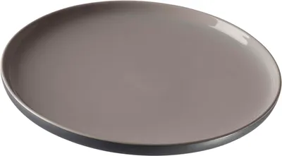 A single flat plate shown from a slightly elevated side angle against a white background.