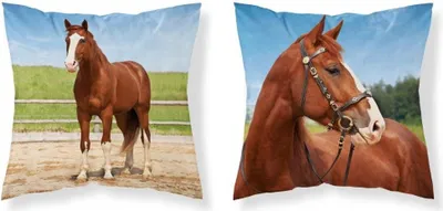 Produktbild von Kissenbezug 40x40 Pferd Mikrofaser