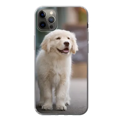 Produktbild von MuchoWow® Handyhülle Schutzhülle Hülle für iPhone 12 Pro Max Ein Golden Retriever Welpe läuft auf dem Bürgersteig Silikon Softcase Handy Hülle - Hartschale