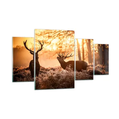 Produktbild von Bilder auf glas - Deer Heidekraut Tier - 160x90cm - Glasbilder - Wandbilder - Kunstdruck - zum Aufhängen bereit - Wanddekoration aus Glas - Glas Bilder - Wandbild auf Glas - 4 Teile - GDL160x90-3043