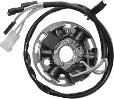 Immagine prodotto di Statore SGR 6 poli con piastra e Pick-up
