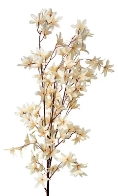 Produktbild von Clayre & Eef Kunstblume 112 cm Beige Kunststoff