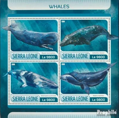 Produktbild von Briefmarken Sierra Leone 2017 Mi 8585-8588 Kleinbogen (kompl. Ausg.) postfrisch Wale