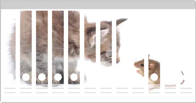 Produktbild von Wallario Ordnerrücken Sticker, selbstklebend für schmale Ordner, 12 Stück, Motiv Katze und Maus beim Spielen - weißer Hintergrund