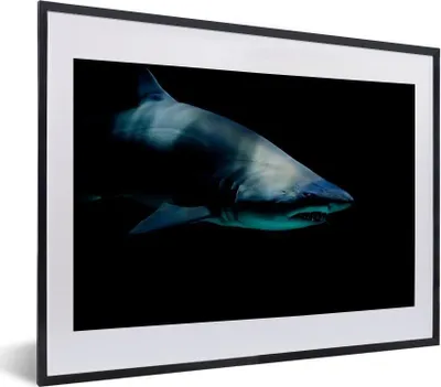Produktbild von MuchoWow® MuchoWow® Gerahmtes Poster Hai - Makro - Wasser 40x30 cm - Poster mit zchwarzem Bilderrahmen - Bilderrahmen - Poster im Rahmen