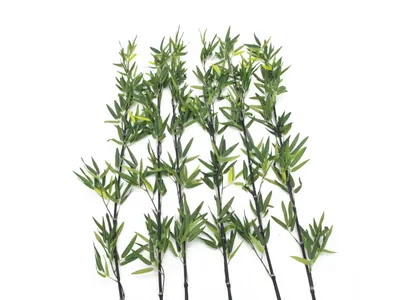 Productafbeelding van EUROPALMS bamboestak met bladeren, kunstmatig, 180 cm, set van 6 (82509260)