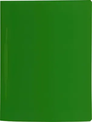 Produktbild von BRUNNEN Schnellhefter A4 FACT! grün mit Amtshe 102015650