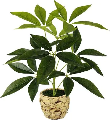 Immagine prodotto di Pianta artificiale verde con fiori decorativi