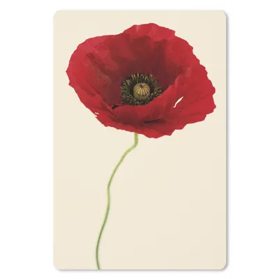 Produktbild von MuchoWow® Mauspad Mousepad Nahaufnahme einer roten Mohnblume 18x27 cm - Mousepads - Maus Mat - Pad - Mausunterlage