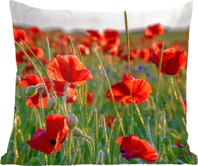 Produktbild von MuchoWow® Zierkissen Sofakissen Wohnzimmer Dekokissen 40x40 cm Blumen - Mohnblumen - Natur - Rot - Foto Kissen - Schlafzimmer Dekoration