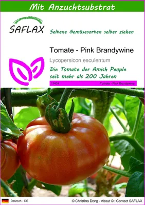 Produktbild von SAFLAX - Tomate - Pink Brandywine - 10 Samen - Mit keimfreiem Anzuchtsubstrat - Lycopersicon esculentum