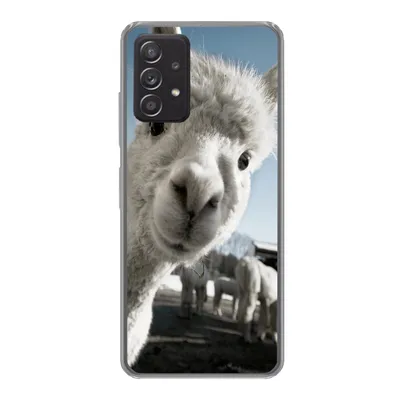 Produktbild von MuchoWow® Handyhülle Schutzhülle Hülle für Samsung galaxy a73 Alpaka - Weiß - Tier Silikon Softcase Handy Hülle - Handyhülle