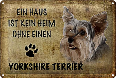 Produktbild von Blechschild Yorkshire Terrier 30x20cm Haus kein Heim ohne