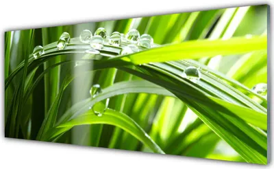 Produktbild von Küchenrückwand aus Glas 125x50cm Spritzschutz Gras Tautropfen Pflanzen