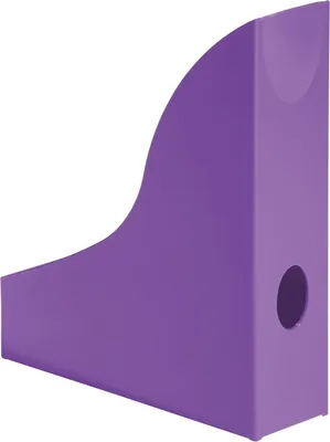 Produktbild von Stehsammler Basic PS 73x306x241mm opak lila Packung mit 6 Stück