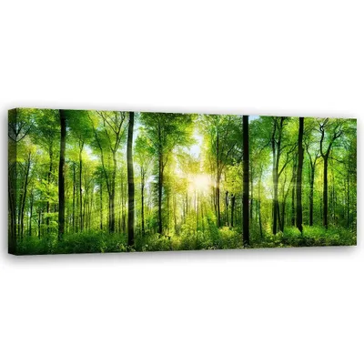 Produktbild von Leinwandbild sonnenschein im wald natur grün 150x50 cm Feeby grün wandbild bereit zum aufhängen
