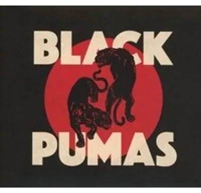 Produktbild von Black Pumas