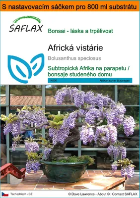 Obrázek produktu pro SAFLAX Garden in the bag - Africká vistárie - Bolusanthus speciosus - 15 Semena - S pěstebním substrátem v praktickém samovztyčovacím sáčku