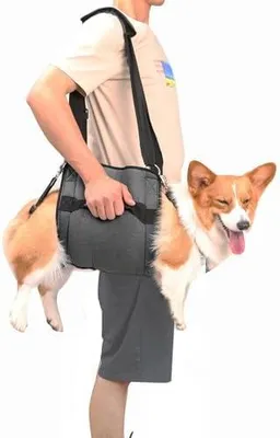 Produktbild von Hundetragegurt, Notfallrucksack Unterstützung für Rehabilitation Hundelift Geschirr, Hundeträger für ältere Hunde Gelenkverletzungen, Arthritis, Treppe hinauf (L,Schwarz)