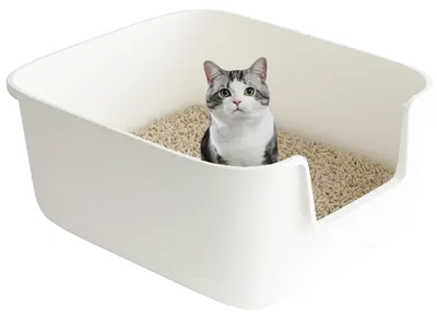 Katzenbox mit Spritzschutz, 49x42x22 cm, Weiß